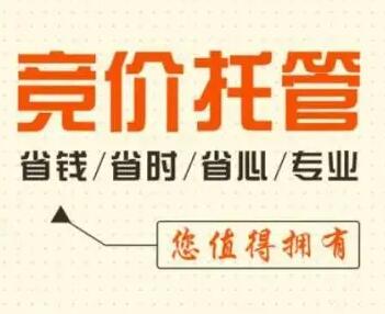 百度竞价托管 (1).jpg