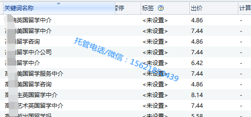 教育培训行业:出国留学雅思培训(图6) 出价