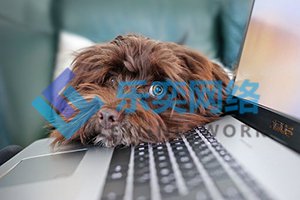 竞价代运营怎么操作竞价推广账户?(图2) 竞价代运营怎么操作竞价推广账户?(图2)